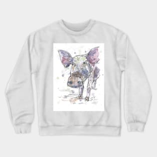 Curious piggy Crewneck Sweatshirt